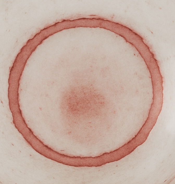 Alto Adige Moscato Rosa vendemmia tardiva, DOC - Castel Sallegg